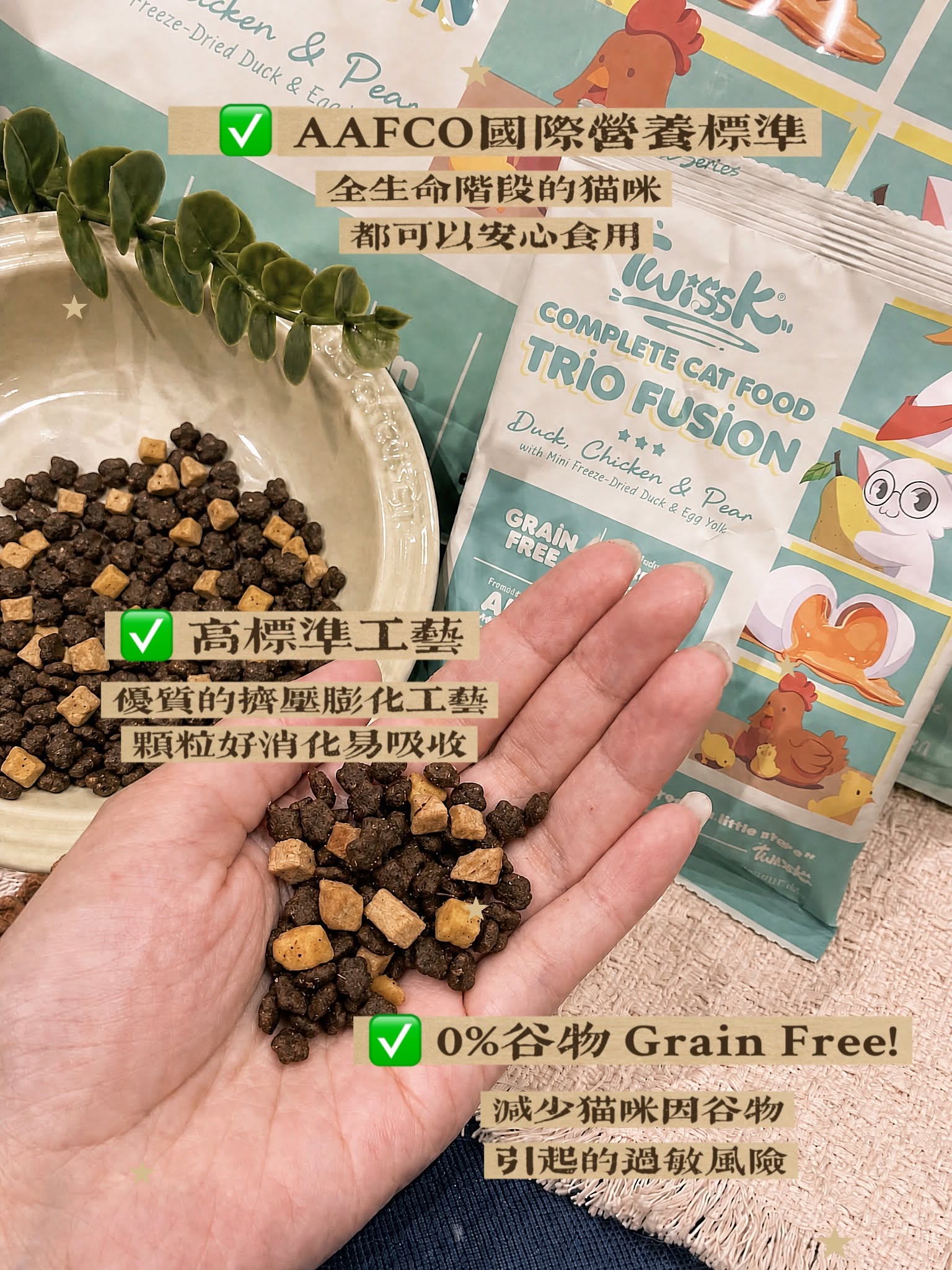 Meo Pet Shop 8