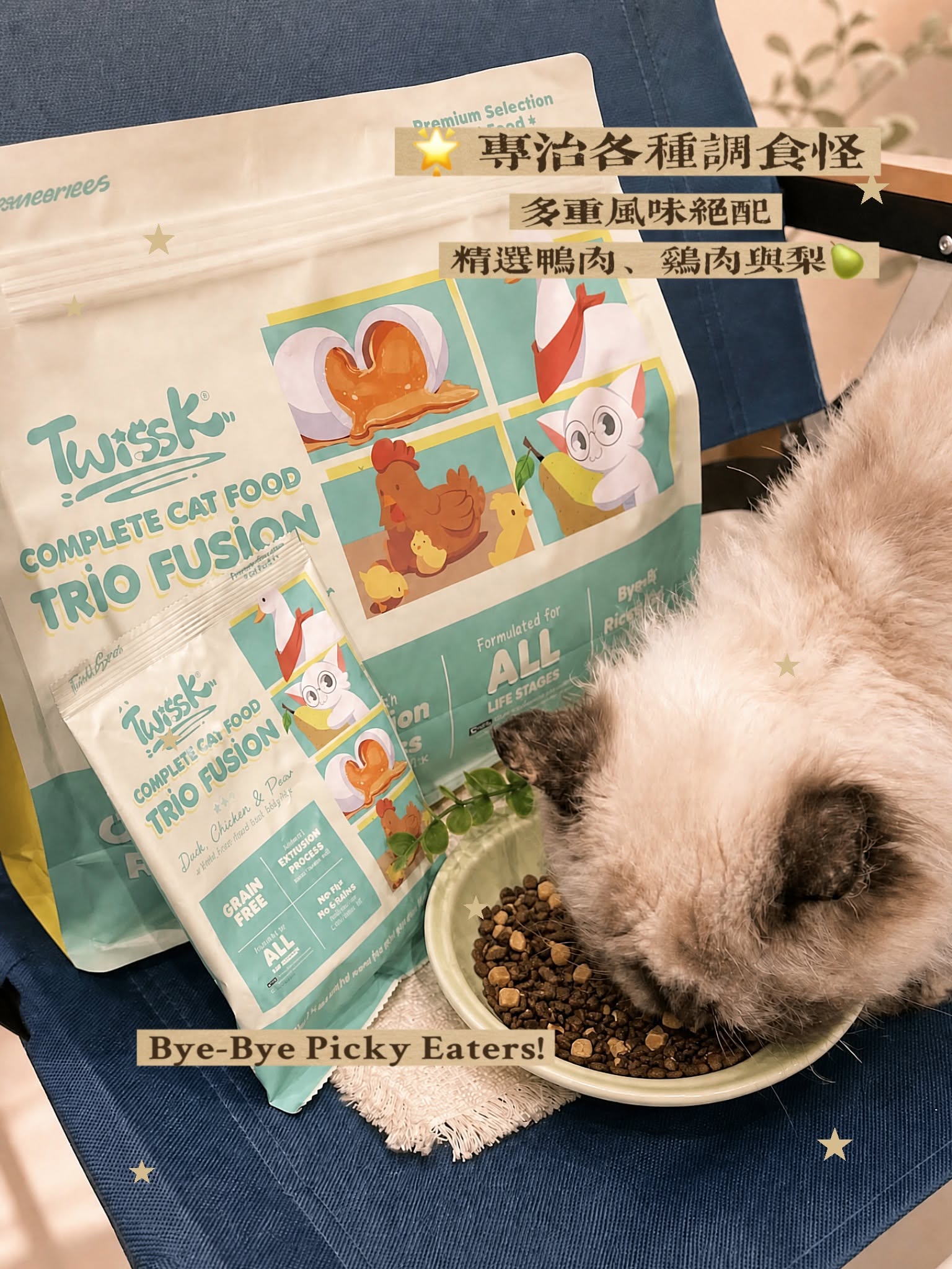Meo Pet Shop 10